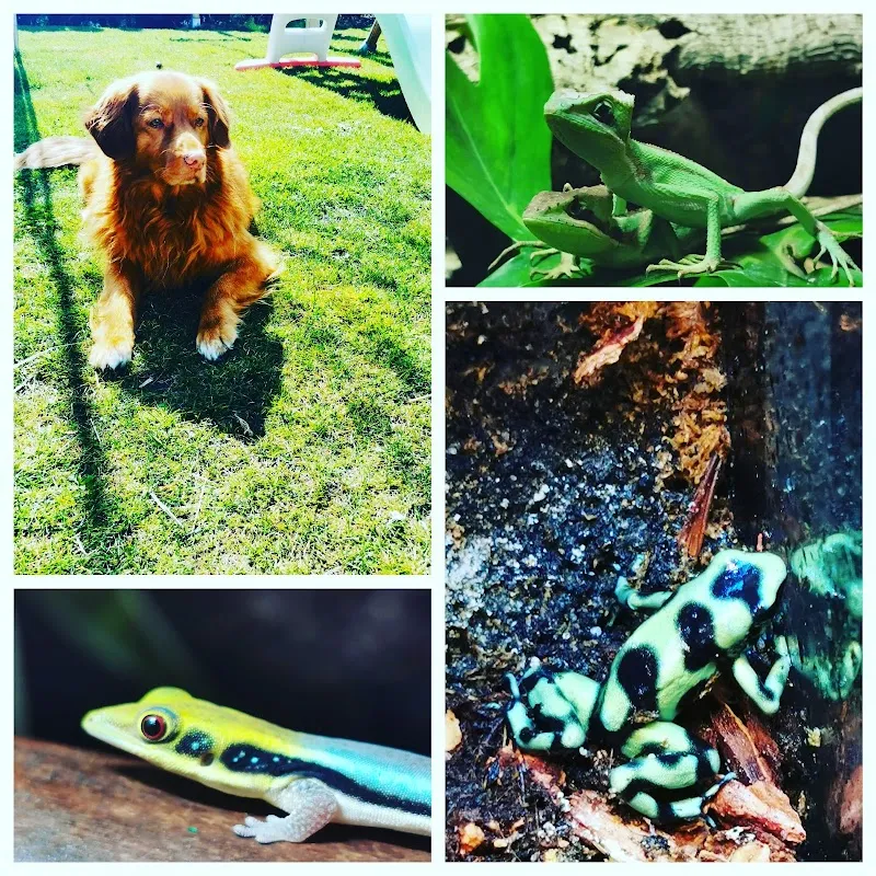 ZooPlanet — Zoofachhandel, Menziken, Aargau. Foto 2