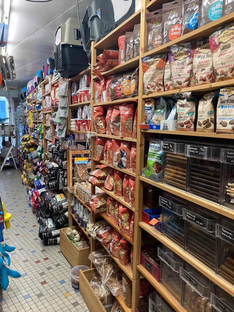 Chez Corinne — Zoofachhandel, Colombier, Neuenburg. Foto 2