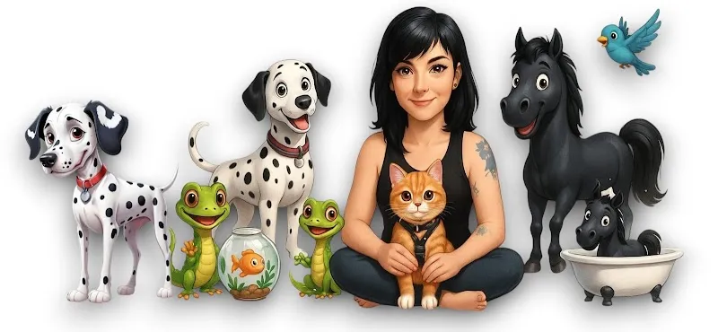 FoodPet.ch — Zoofachhandel in Perrefitte, Bern. Bewertung 5.0/5.