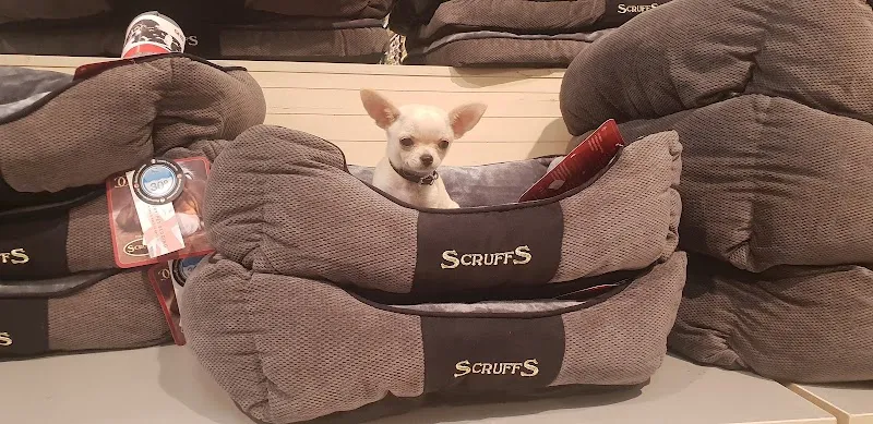 Fressnapf La Chaux-de-Fonds — Zoofachhandel, La Chaux-de-Fonds, Neuenburg. Foto 3