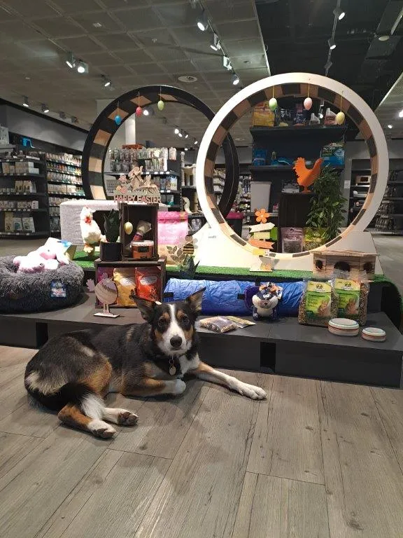 Petfriends — Animalerie, Marin-Epagnier, Neuchâtel. Foto 2