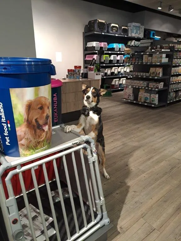 Petfriends — Animalerie, Marin-Epagnier, Neuchâtel. Foto 3