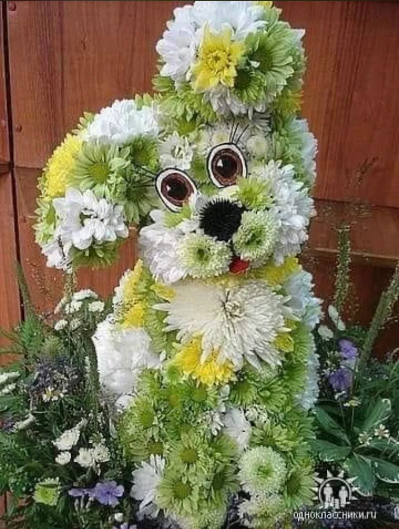 Katzensalon Lemo — Service animalier, Luzern, Lucerne. Foto 3