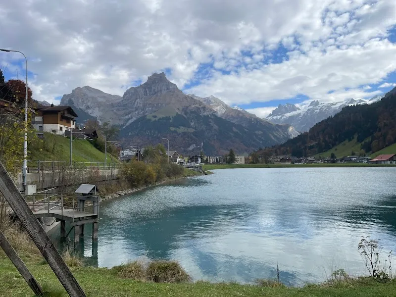 Fischen im Eugenisee — Zoofachhandel in Engelberg, Obwalden. Bewertung 4.6/5.