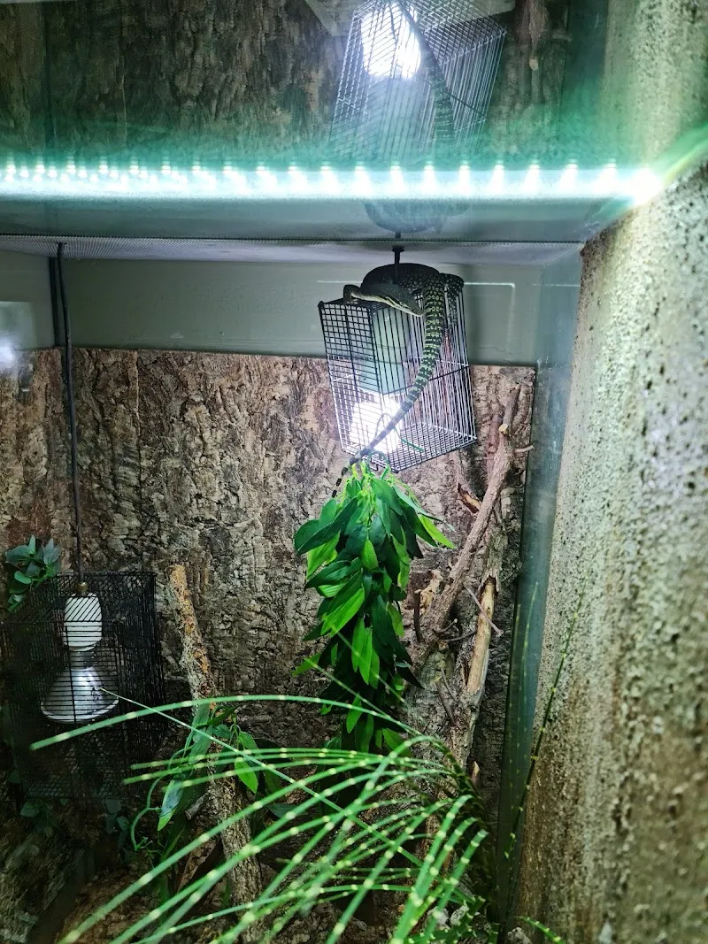 Lorica AG — Zoofachhandel in Zofingen, Aargau. Bewertung 4.8/5.