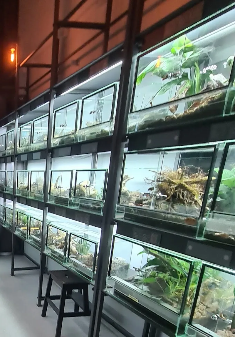 Lorica AG — Zoofachhandel, Zofingen, Aargau. Foto 3