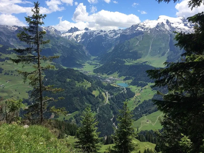 Tele alpin AG — Zoofachhandel in Engelberg, Obwalden. Bewertung 4.7/5.