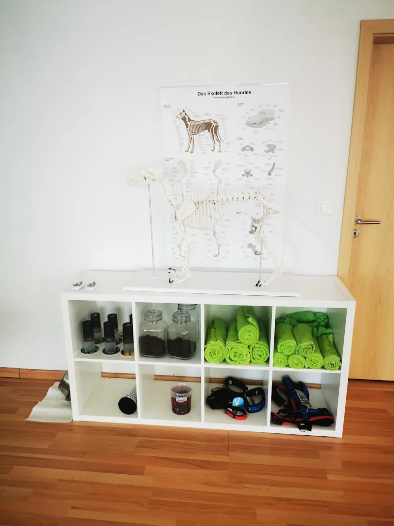 Dogshealth — Animalerie, Glattfelden, Zurich. Foto 3