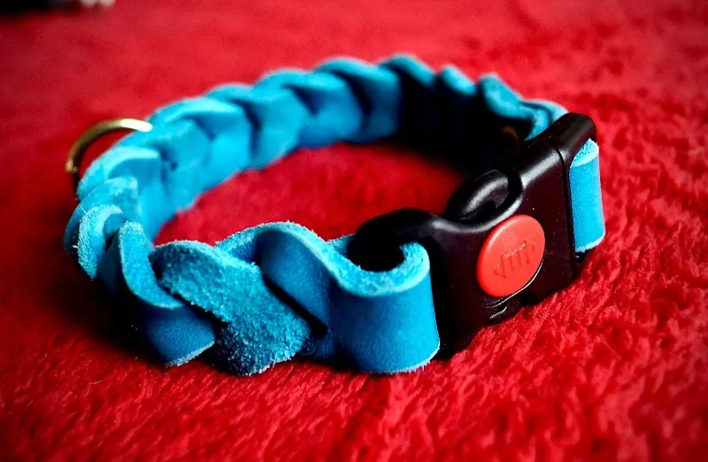 Frank`s Tiershop — Zoofachhandel in Rietheim, Aargau. 