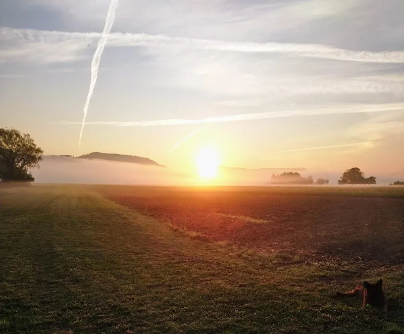 Frank`s Tiershop — Zoofachhandel, Rietheim, Aargau. Foto 3