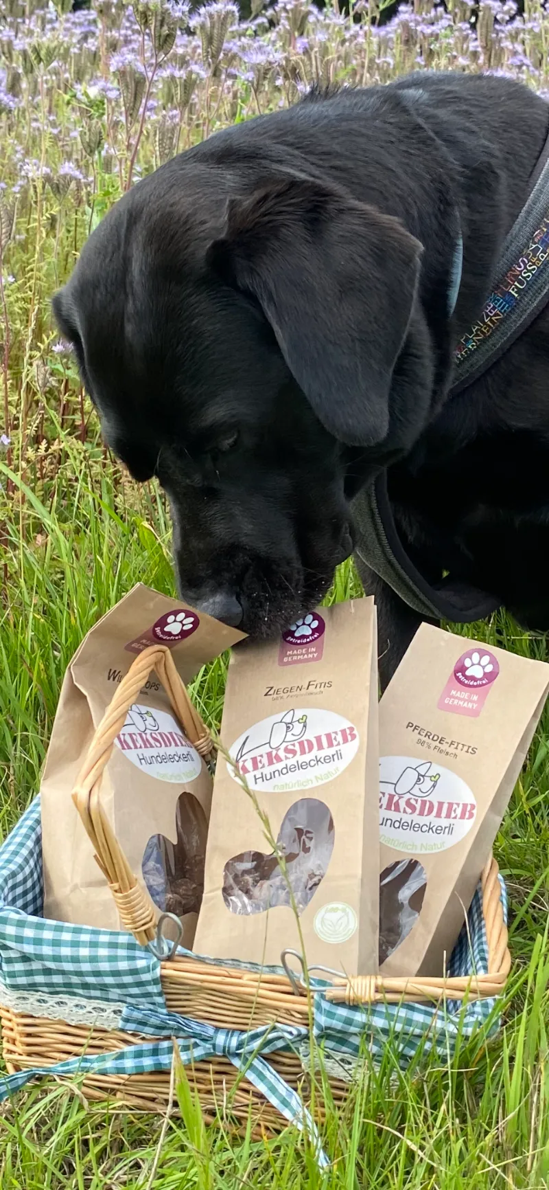 Hundeleckerchen.ch — Zoofachhandel, Hüntwangen, Zürich. Foto 3