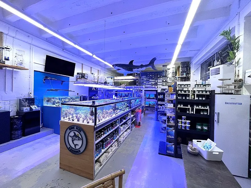 King Fish Aquarien — Zoofachhandel in Flurlingen, Zürich. Bewertung 5.0/5.