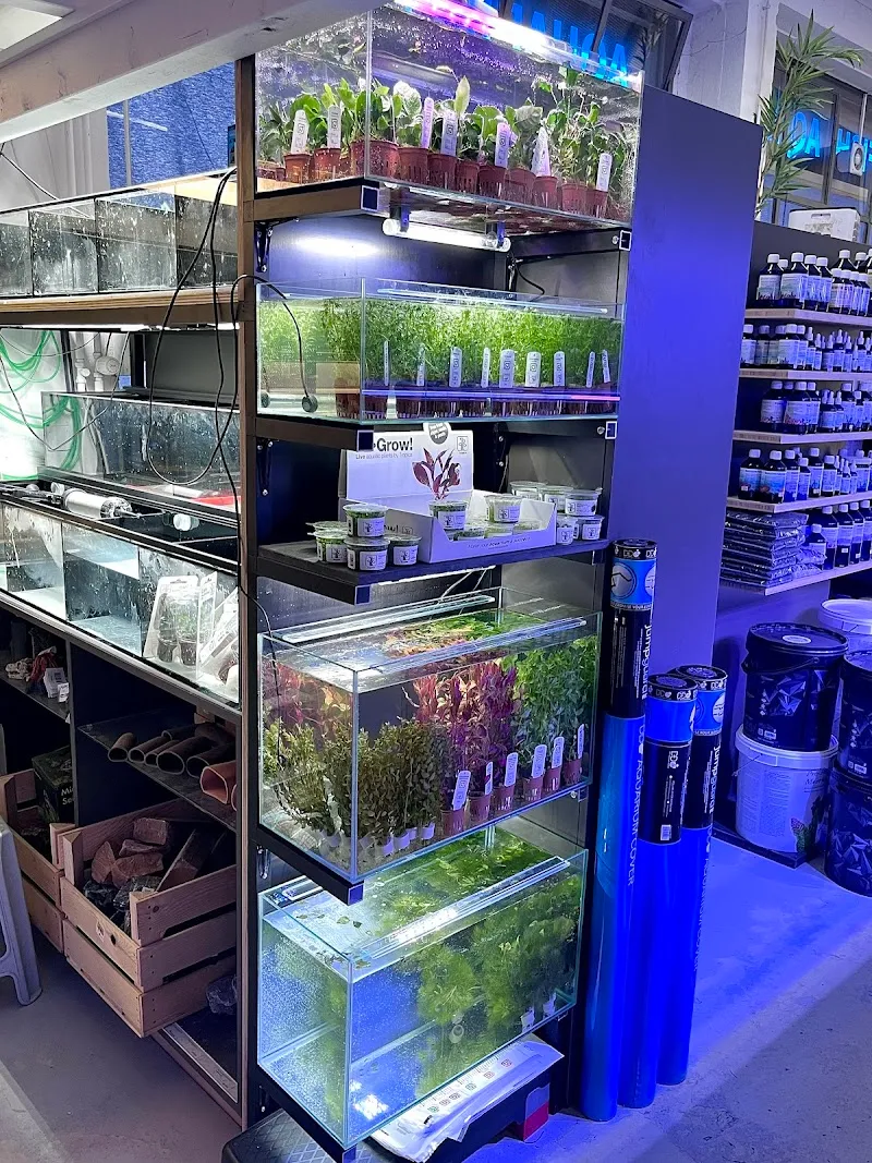 King Fish Aquarien — Zoofachhandel, Flurlingen, Zürich. Foto 2