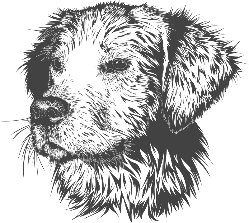 PetsParadies — Animalerie, Oberweningen, Zurich. Foto 3