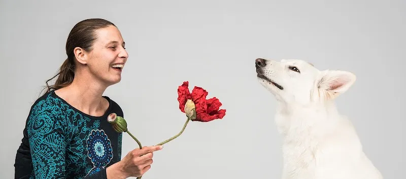 Rund ums Tier — Katzenpension in Wilihof, Luzern. Bewertung 5.0/5.