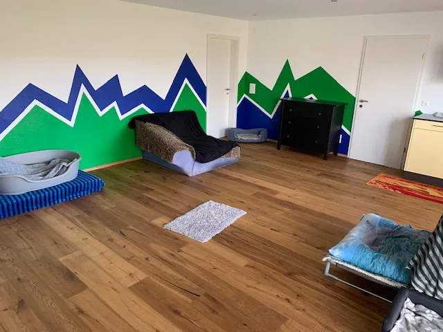 Rund ums Tier — Katzenpension, Wilihof, Luzern. Foto 2