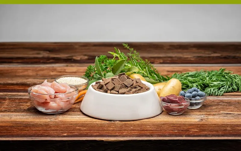 Anifit Tiernahrung G. Bertschy — Zoofachhandel in Uznach, St. Gallen. Bewertung 5.0/5.