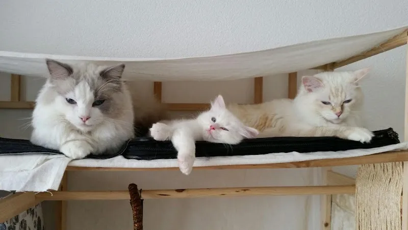 Frässeggä, für Hund & Katz — Zoofachhandel, Bilten, Glarus. Foto 2