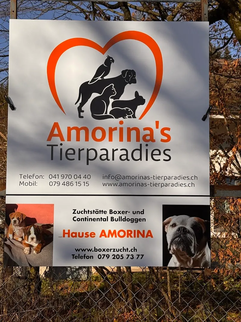 Tierpension Hofmatt — Katzenpension, Gettnau, Luzern. Foto 2