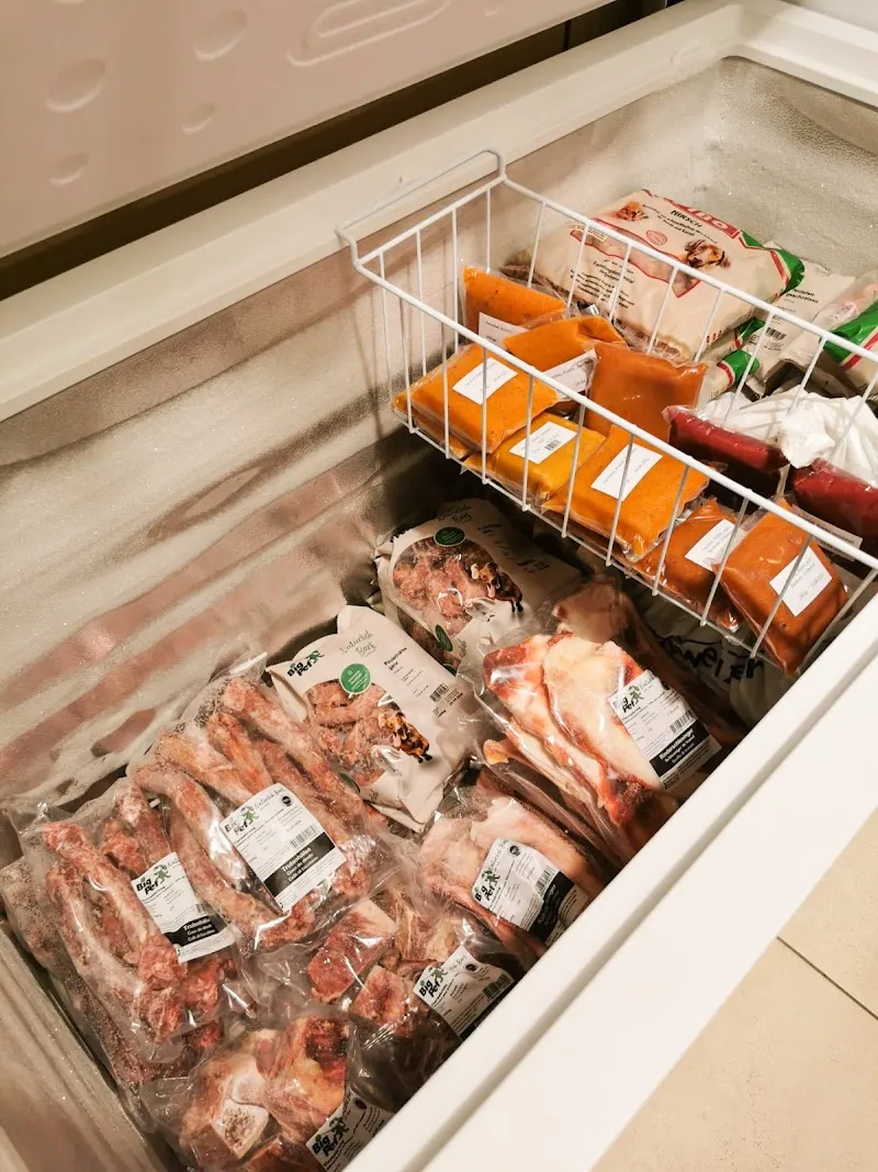 Goldpfote — Animalerie, Glarus, Glaris. Foto 2