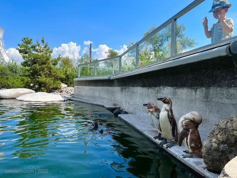 Knies Kinderzoo Rapperswil — Zoofachhandel, Rapperswil-Jona, Schwyz. Foto 3