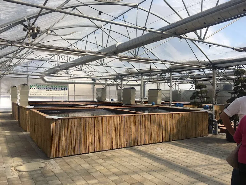 Koizentrale GmbH (Koi-Händler) — Animalerie, Unteriberg, Schwyz. Foto 2