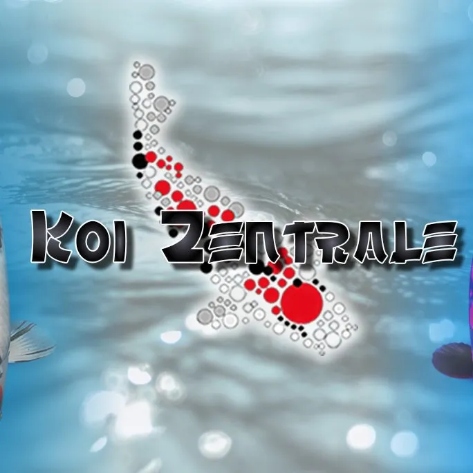 Koizentrale GmbH (Koi-Händler) — Animalerie, Unteriberg, Schwyz. Foto 3