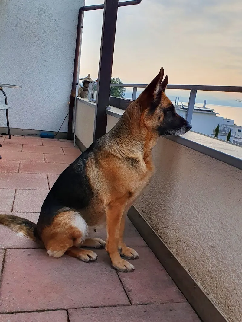 QUALIPET Center Pfäffikon — Zoofachhandel, Pfäffikon, Schwyz. Foto 3