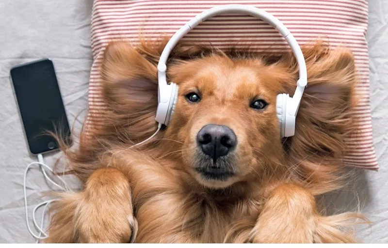 QUALIPET Center Schwyz — Negozio di animali, Schwyz, Svitto. Foto 3