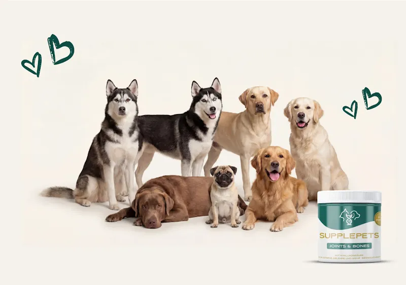 Supplepets — Zoofachhandel in Freienbach, Schwyz. 