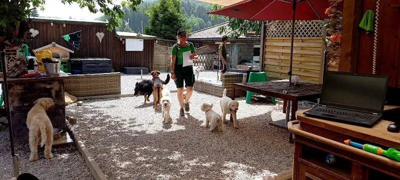 pet-cetera... Tier und Hausbetreuung — Zoofachhandel in Unterägeri, Zug. Bewertung 1.0/5.