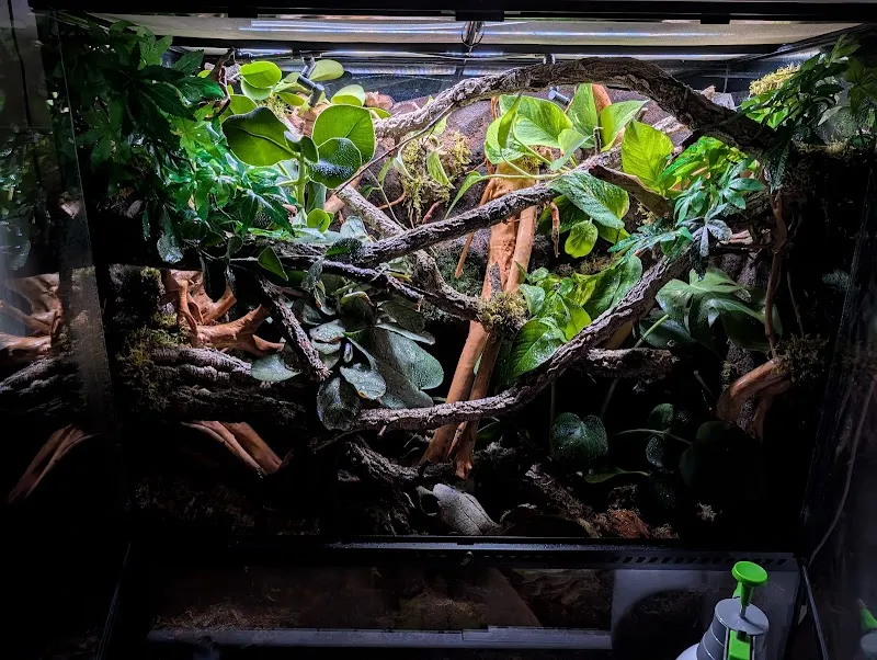 Aqua Design Mühlberg — Zoofachhandel in Bretzwil, Basel-Landschaft. Bewertung 5.0/5.