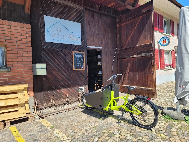 Balü Schöpfli Celina Roth — Zoofachhandel, Suhr, Aargau. Foto 3