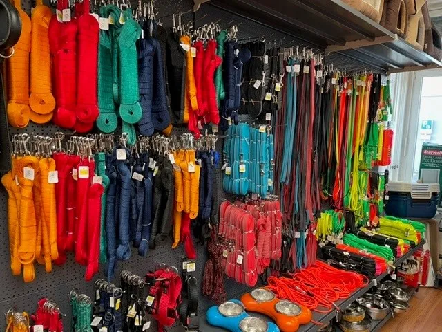 Hunde & Katzen Shop - Pet Food Partner GmbH — Zoofachhandel, Liestal, Basel-Landschaft. Foto 3