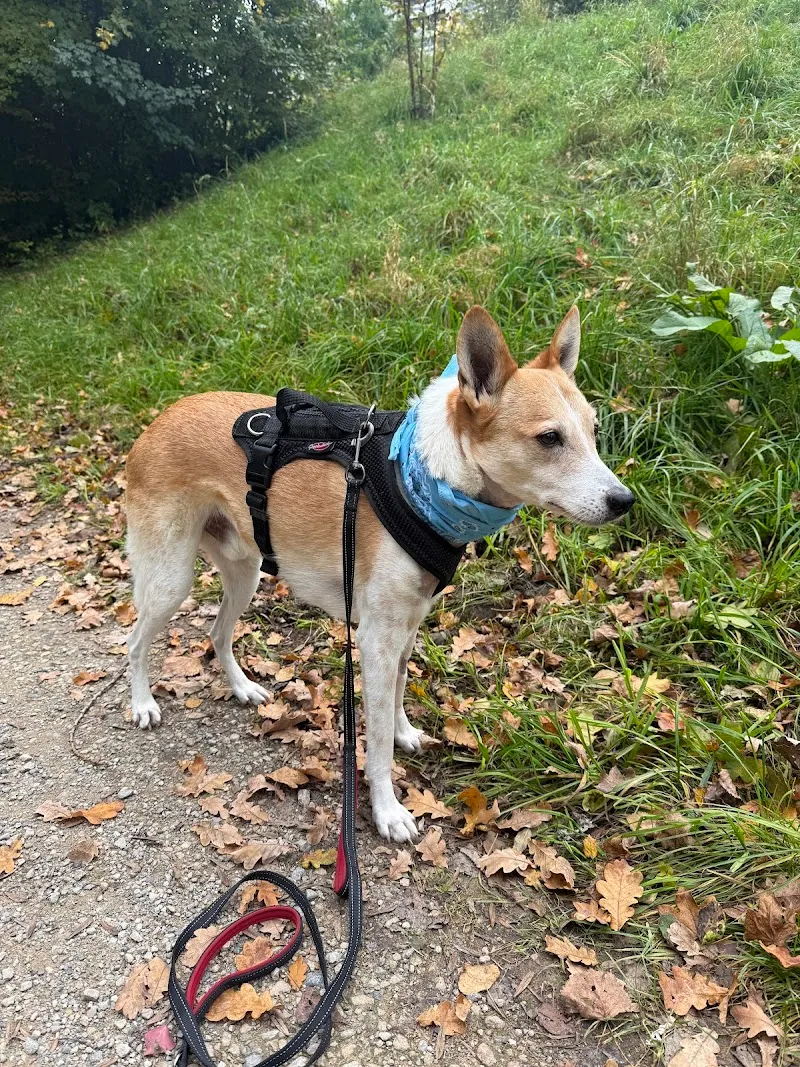 Meiko Heimtierbedarf AG — Zoofachhandel, Aarau, Aargau. Foto 2