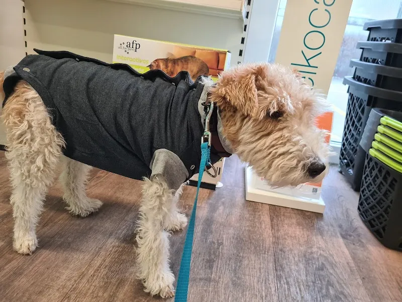 Meiko Heimtierbedarf AG — Zoofachhandel, Aarau, Aargau. Foto 3