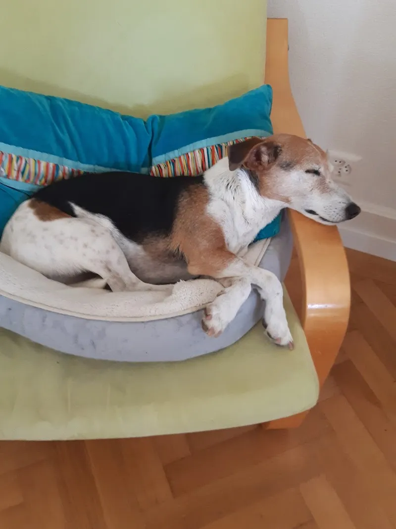 Petfriends Oensingen — Zoofachhandel, Oensingen, Solothurn. Foto 3