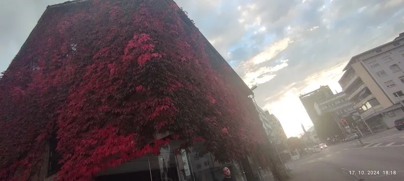 Strato Zoo — Zoofachhandel in Grenchen, Solothurn. Bewertung 4.0/5.