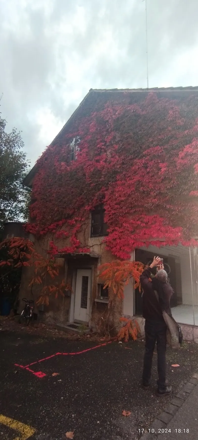 Strato Zoo — Zoofachhandel, Grenchen, Solothurn. Foto 2