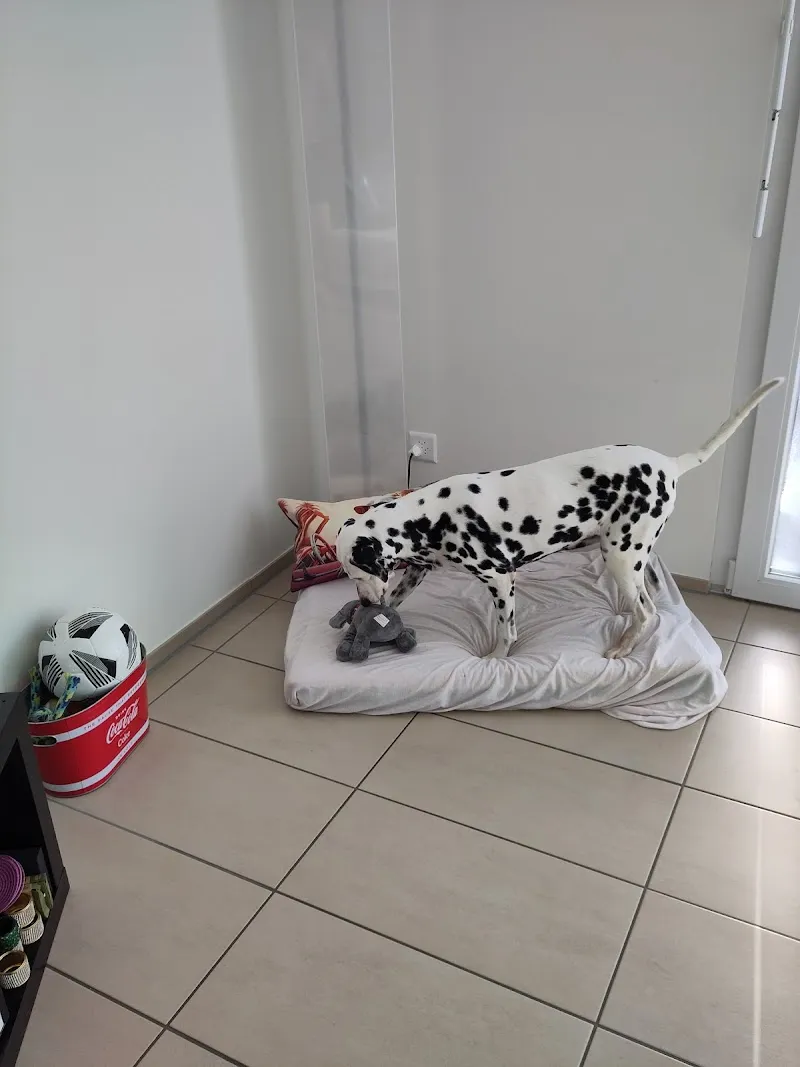 Vet-Concept Schweiz AG — Zoofachhandel, Möhlin, Aargau. Foto 3