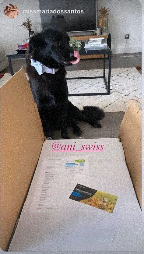 AniSwiss Gmbh — Zoofachhandel, Rickenbach, St. Gallen. Foto 3