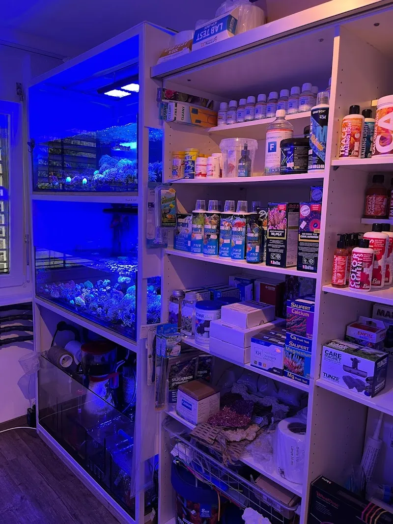 AquaDreams Thür — Zoofachhandel, Zuckenriet, St. Gallen. Foto 2