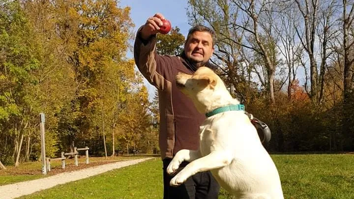 Chez Quatre Pattes — Katzenpension in Peseux, Neuenburg. Bewertung 5.0/5.