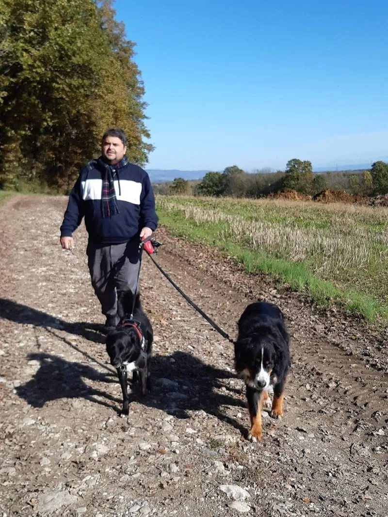 Chez Quatre Pattes — Pension pour chats, Peseux, Neuchâtel. Foto 2