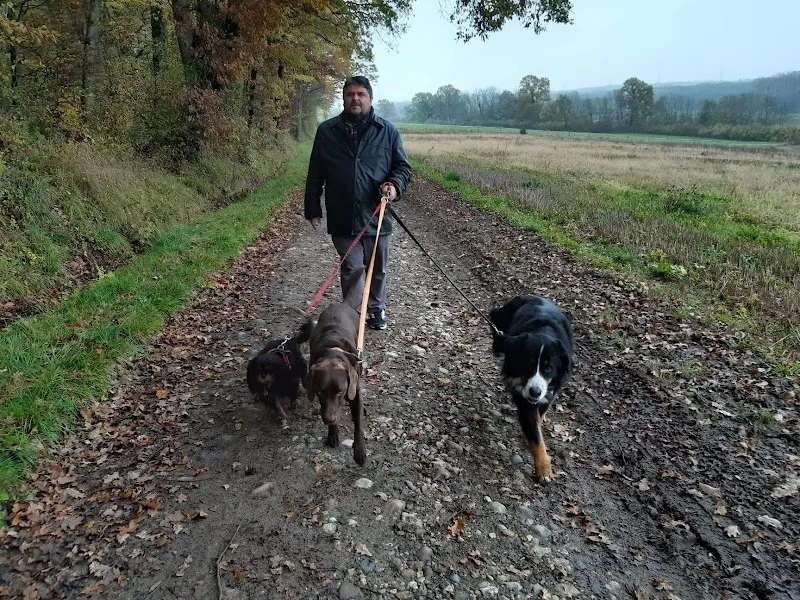 Chez Quatre Pattes — Pension pour chats, Peseux, Neuchâtel. Foto 3