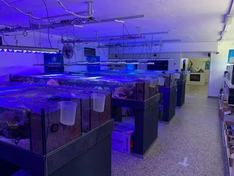 Colorals Zilian Coral Farm — Animalerie, Sargans, Saint-Gall. Foto 3