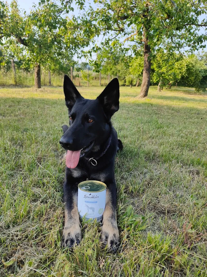 Freya — Zoofachhandel in Gossau, Zürich. Bewertung 5.0/5.