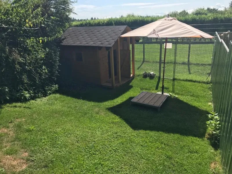 Dog Palace — Katzenpension in Montmollin, Neuenburg. Bewertung 4.7/5.