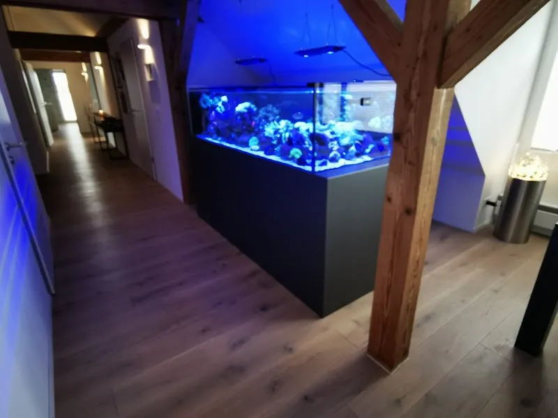 PM Riffkeramik GmbH — Zoofachhandel in Balgach, St. Gallen. Bewertung 5.0/5.