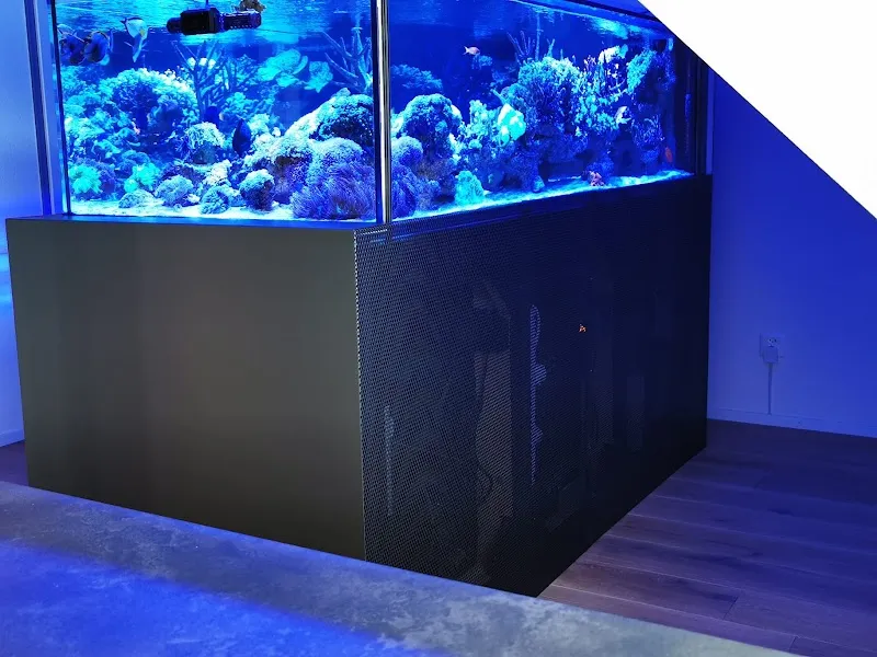 PM Riffkeramik GmbH — Zoofachhandel, Balgach, St. Gallen. Foto 2